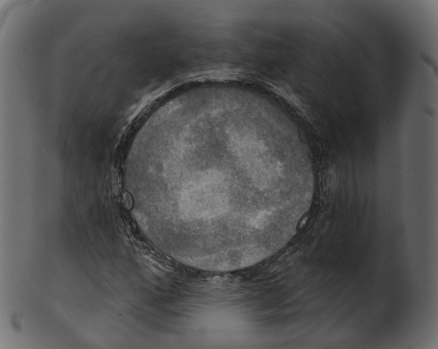 X0000100471160200807031821