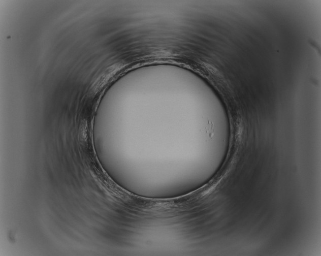 X0000100471161200807031821