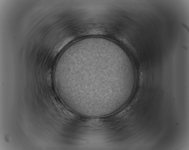 X0000100471162200807031821