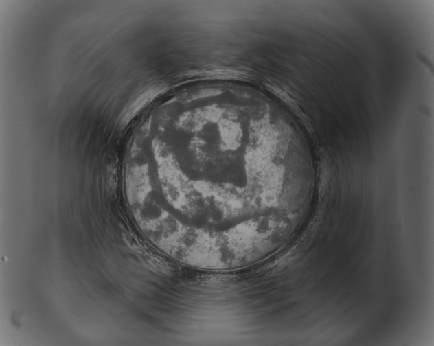 X0000100471163200807031821