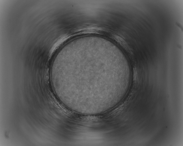 X0000100471164200807031821