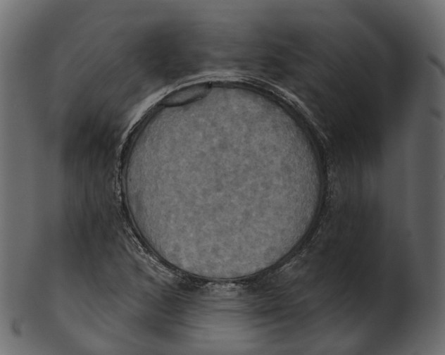 X0000100471168200807031820