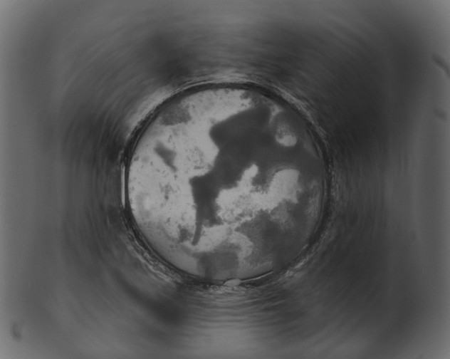 X0000100471171200807031820