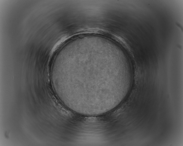 X0000100471172200807031820