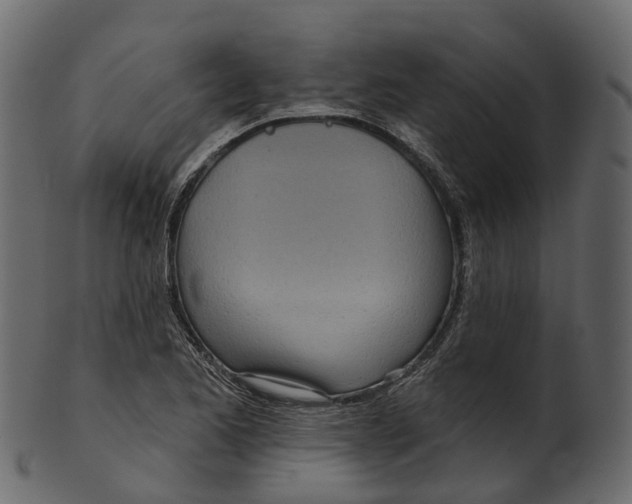 X0000100471173200807031820