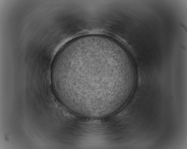 X0000100471174200807031820