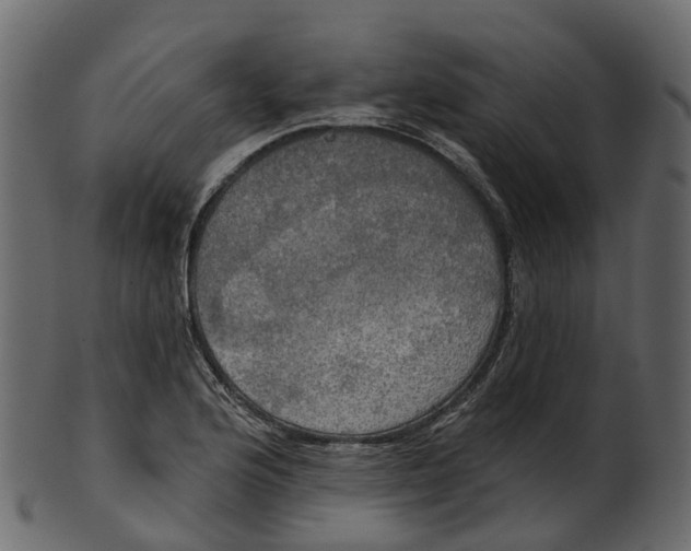 X0000100471176200807031820