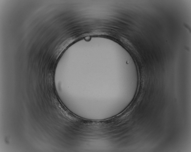 X0000100471177200807031820