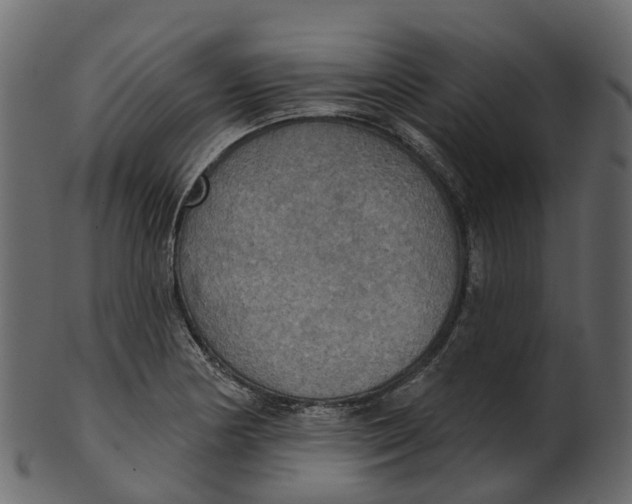 X0000100471178200807031820