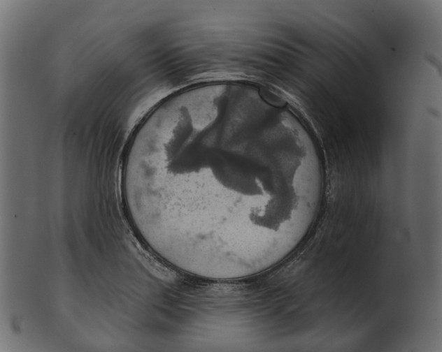 X0000100471179200807031820