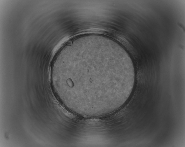 X0000100471180200807031820