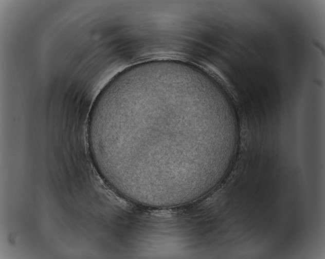 X0000100471182200807031820