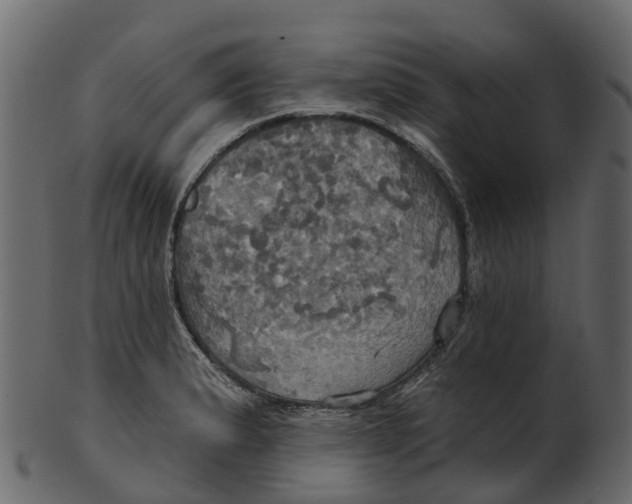 X0000100471183200807031820