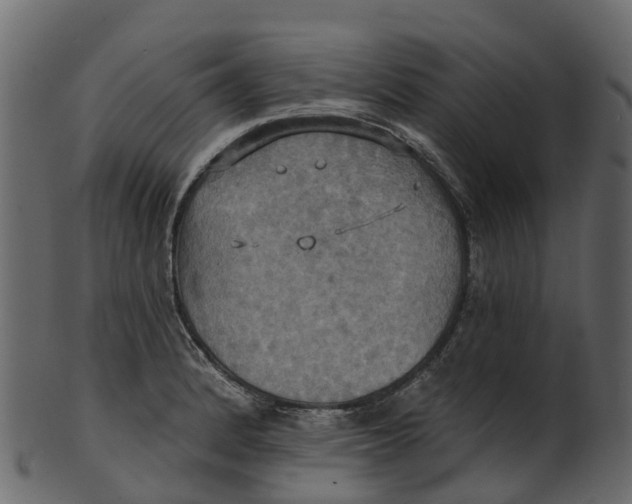 X0000100471184200807031820