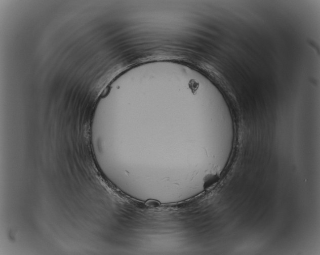 X0000100471185200807031820