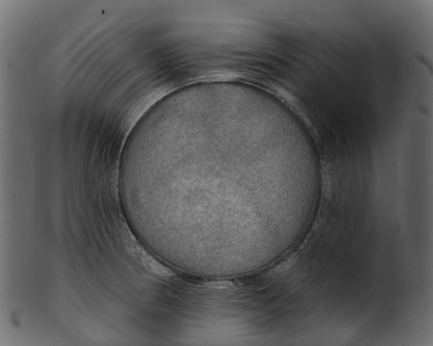 X0000100471186200807031820