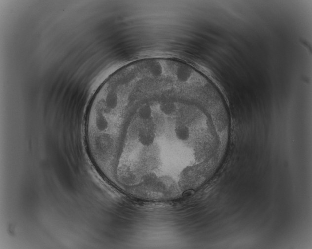 X0000100471187200807031820