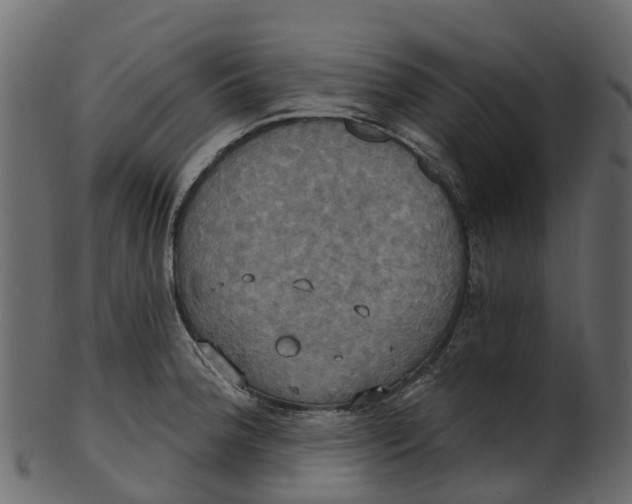 X0000100471188200807031820