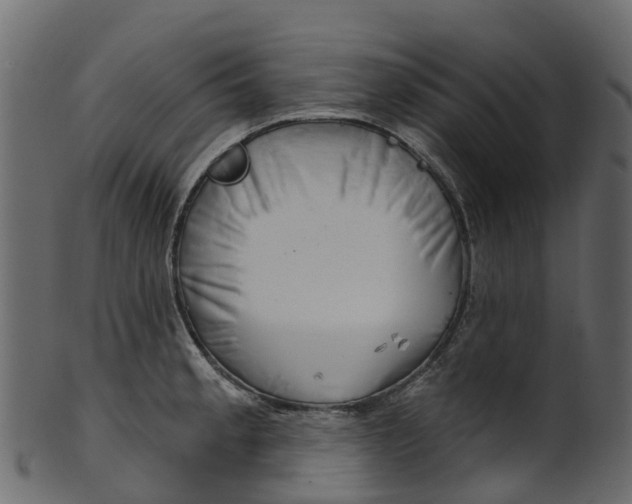 X0000100471189200807031820