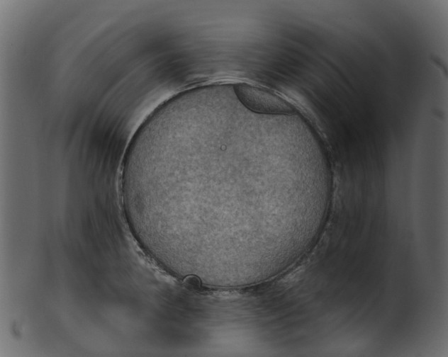 X0000100471190200807031820