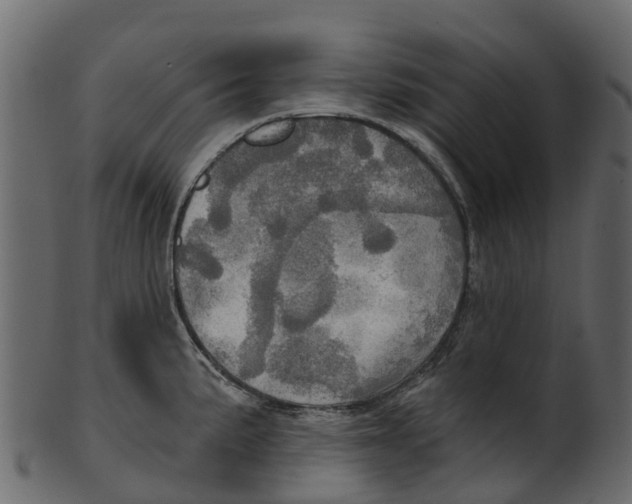 X0000100471191200807031820