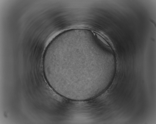 X0000100471192200807031820