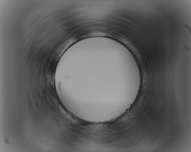 X0000100471193200807031820