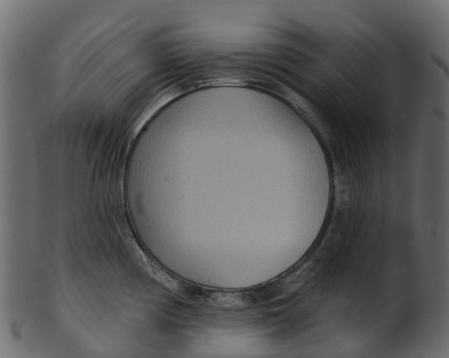 X0000100471194200807031820