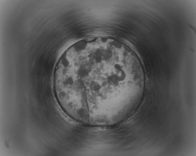 X0000100471195200807031820