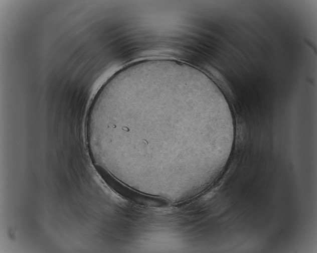 X0000100471196200807031820