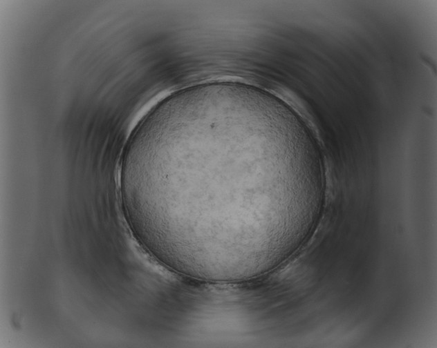 X0000100471198200807031820