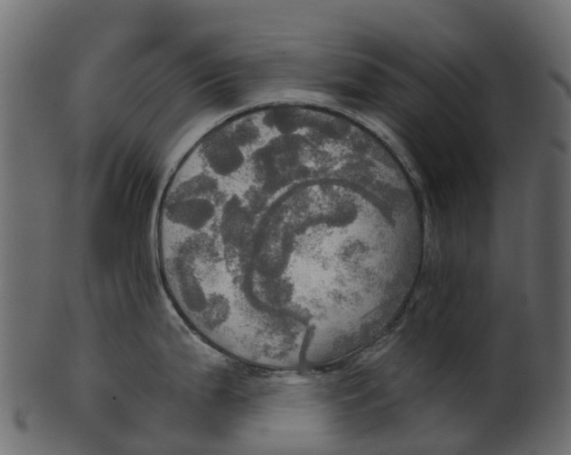 X0000100471199200807031820