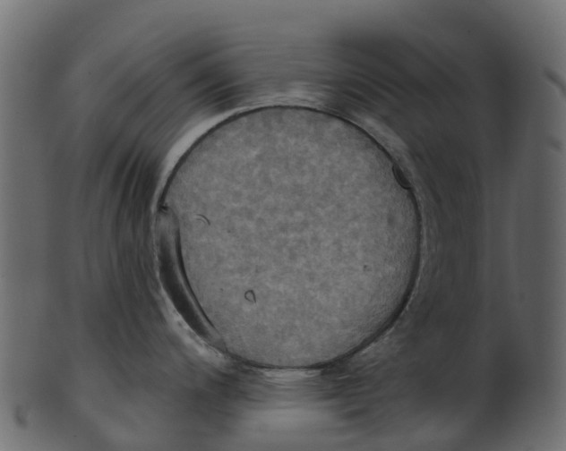 X0000100471200200807031820