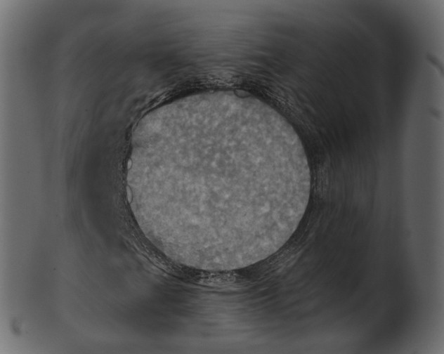 X0000100471201200807031819