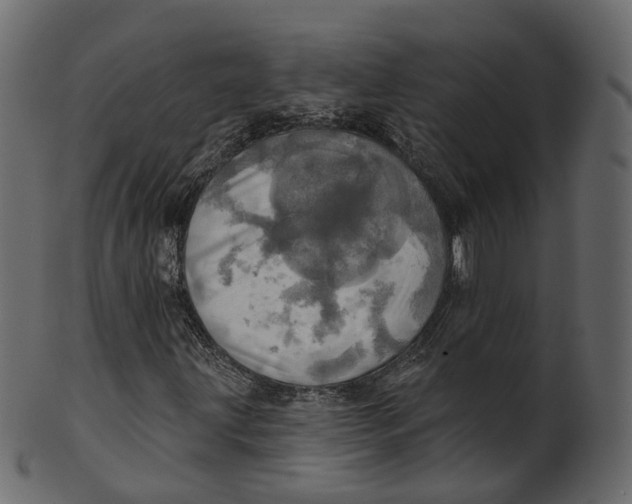 X0000100471203200807031819