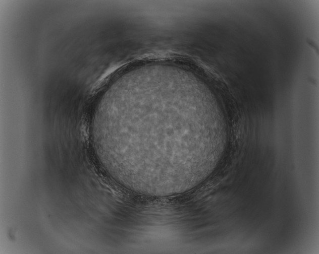 X0000100471206200807031819