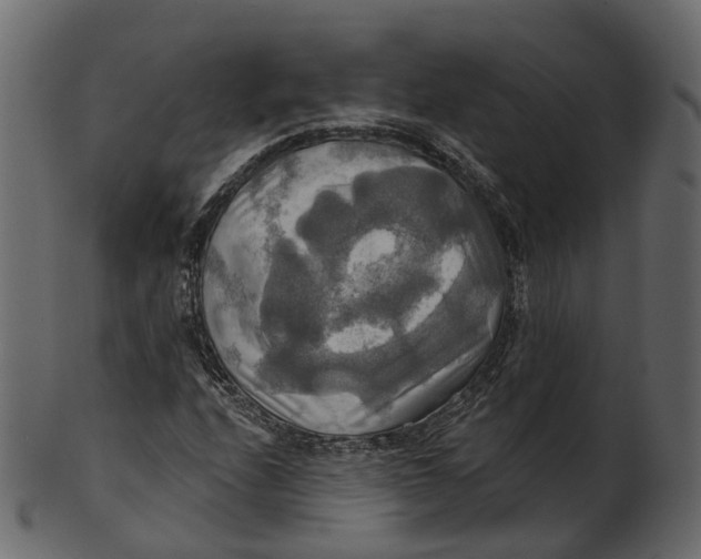 X0000100471208200807031819