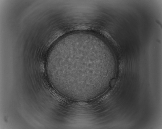 X0000100471209200807031819