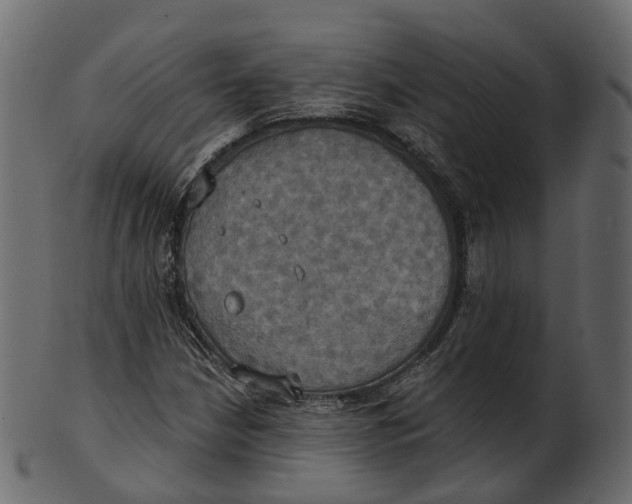 X0000100471210200807031819