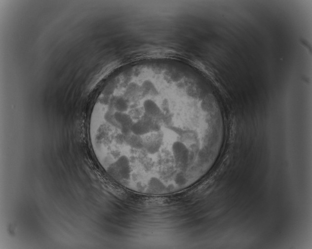 X0000100471211200807031819