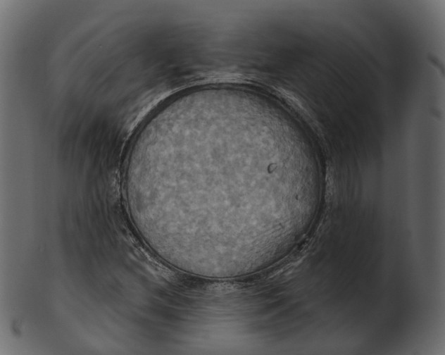 X0000100471212200807031819