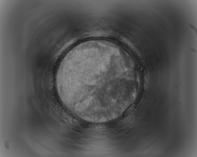 X0000100471213200807031819