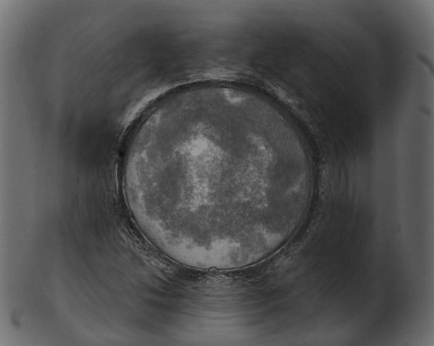 X0000100471214200807031819