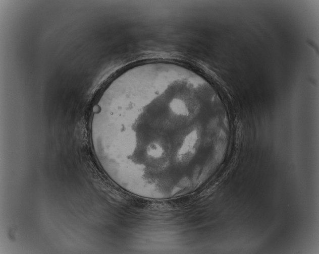 X0000100471215200807031819