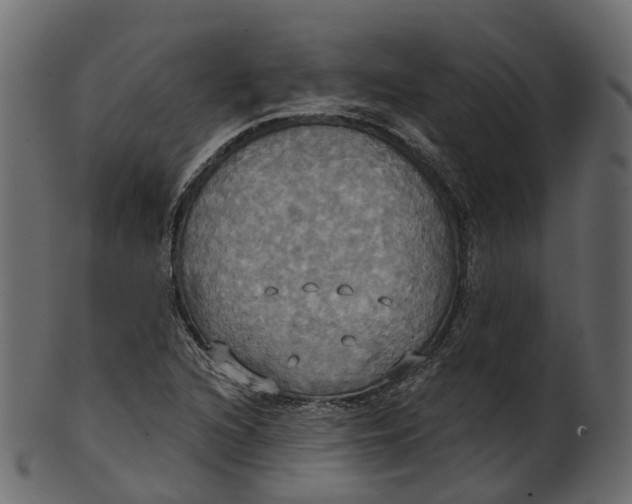 X0000100471216200807031819