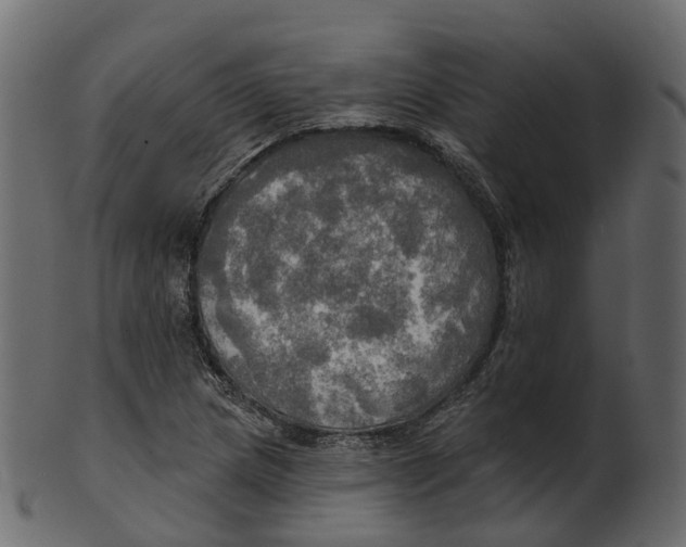 X0000100471217200807031819