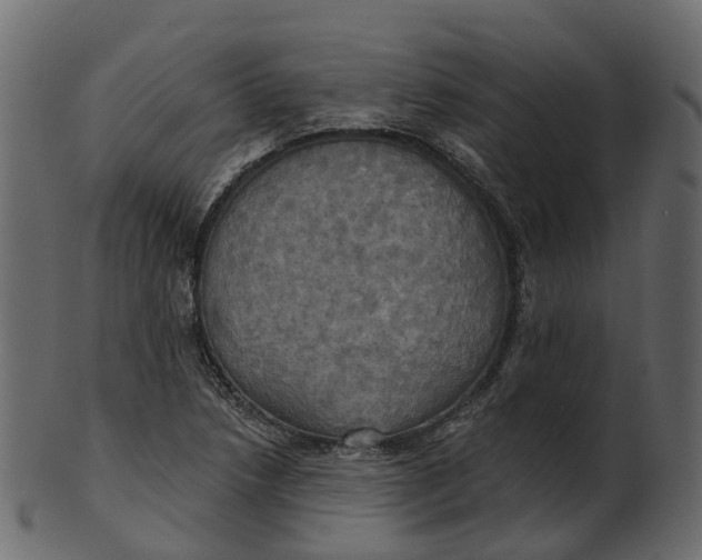 X0000100471218200807031819