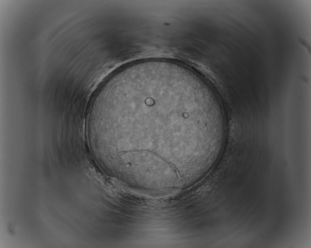 X0000100471220200807031819