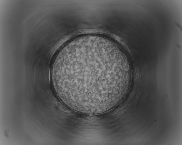 X0000100471221200807031819