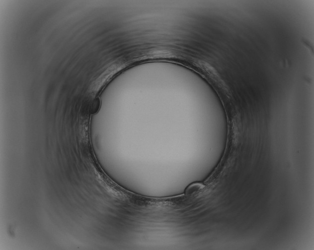 X0000100471225200807031820